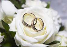 Auckland wedding magician, wedding entertainment